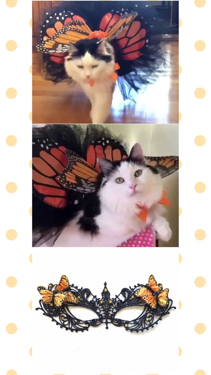 TessaQuits's tweet photo. Being a cat in #DnD is great because when we talk about AUs all my friends have beautiful ideas and then there's me: https://t.co/bqr1SLxvAq