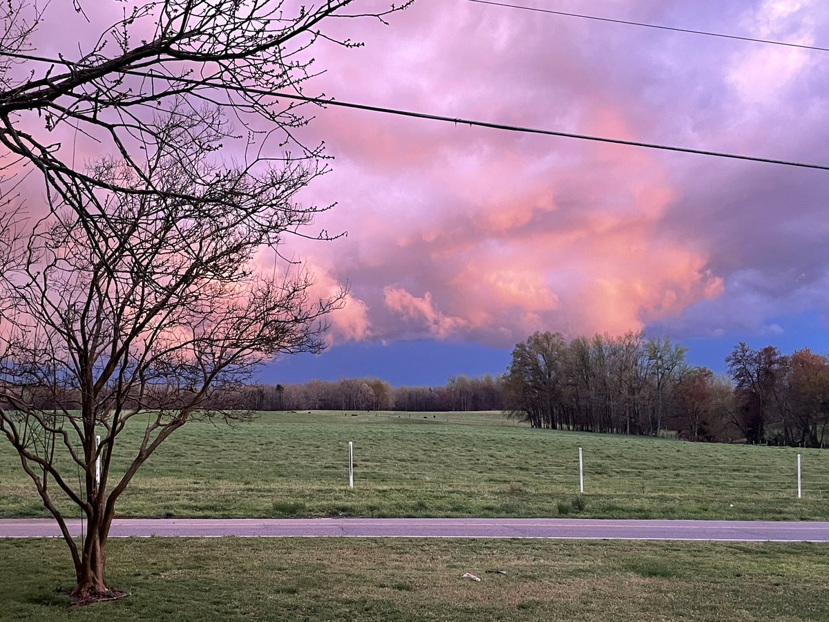 kristi_key's tweet photo. @DavidWhisenant It was gorgeous!! https://t.co/ULX6oslCfz