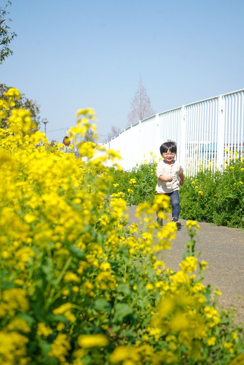 obtea1's tweet photo. 走る天使🥰😘
#photography #art 
#sonya7iii #カメラOL 
#キリトリセカイ 
#カメラのある生活 #写真 
#ファインダー越しの私の世界 
#写真撮ってる人と繋がりたい https://t.co/yOgAYpznzd