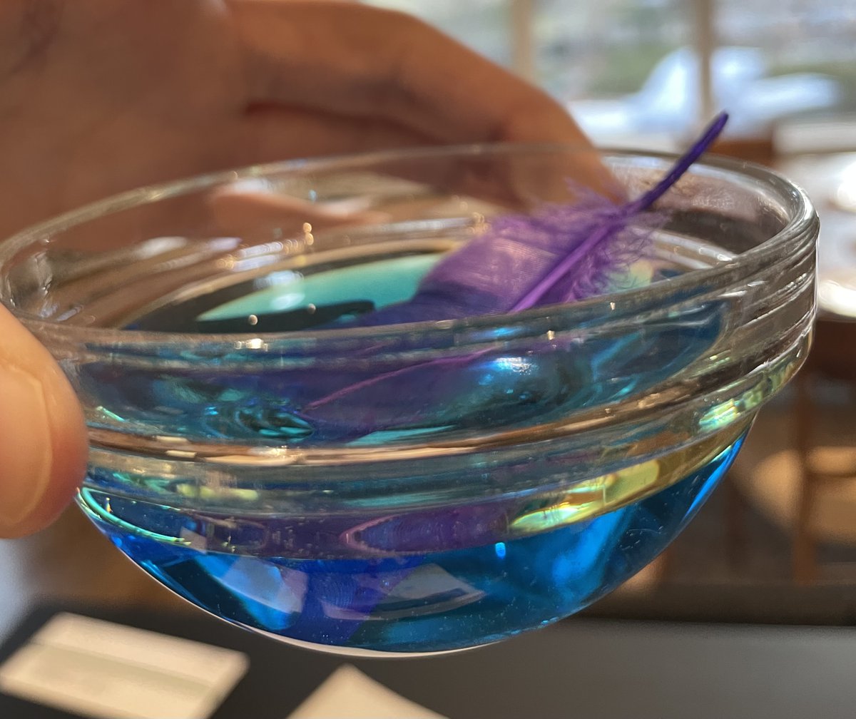 Last week we learned about water pollution, oil spills and the importance of stewardship. We created our own oil spills and tried to clean them up with a spoon and paper towel. Students decided it was hard work! We also looked at how oil affects birds and their feathers. 🪶🛢️💧