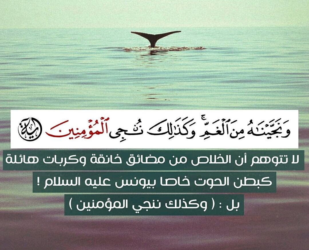 خبيرة تويتر tweet media