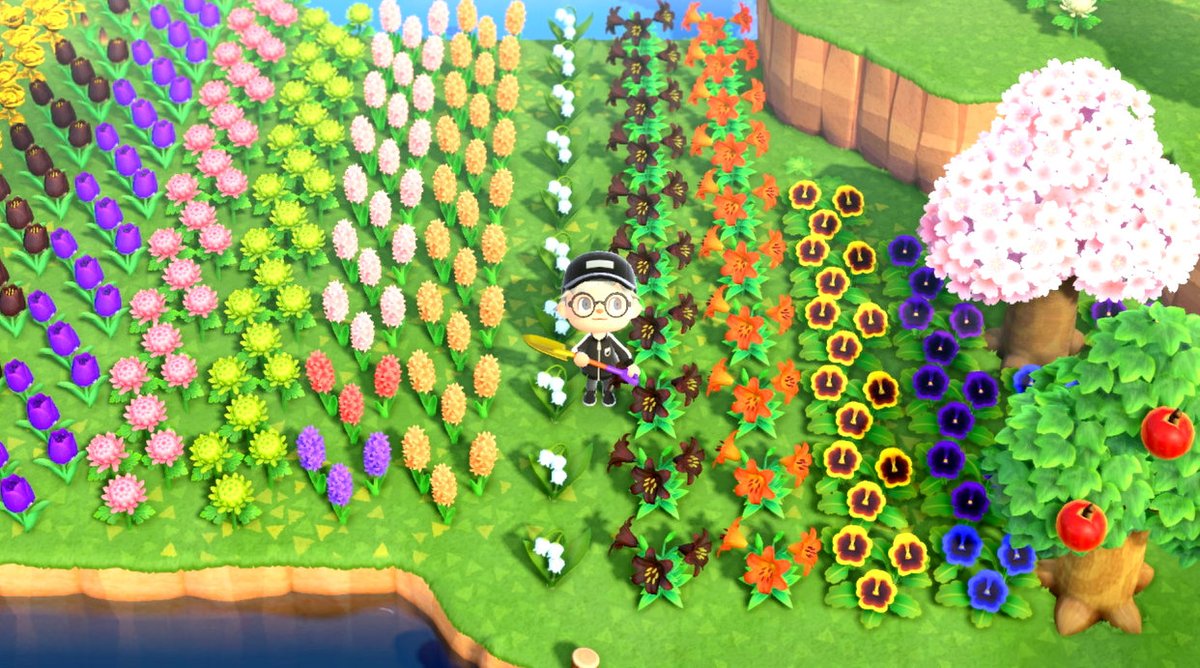 Excited to share the latest addition to my #etsy shop: ANY 40 Flowers of YOUR CHOICE! (Hybrid Flowers Included!) etsy.me/3sCGcoI #animalcrossing #flowers #sellflowers #hybridflowers #sellingflowers #animal #crossing #blueroses #hybridroses