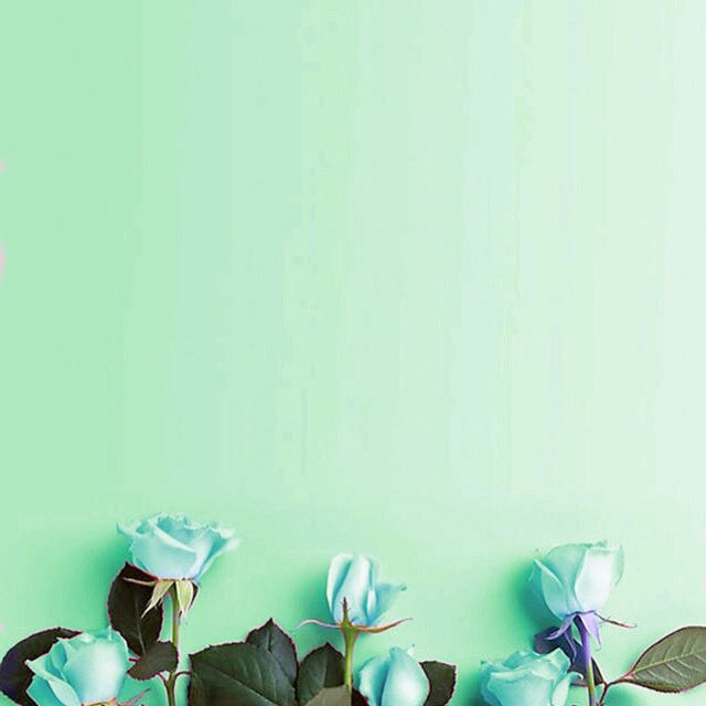dianahssn_'s tweet photo. Lately ni kan rasa teruja tengok warna hijau ni tau..
Kenapa la eerkkkk??
#AlluskinJB #AlluskinSkudai #AlluskinKempas #AlluskinLarkin
#KaymanJB #KaymanSkudai #KaymanKempas #KaymanLarkin https://t.co/HktN4TbxIf