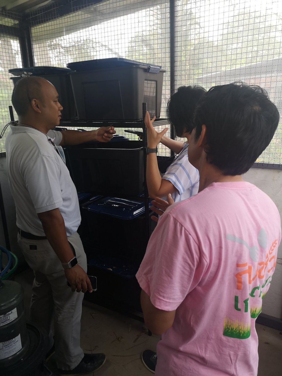 NoFoodWaste_TH's tweet photo. ขอบคุณดร.แจ๊คจากโครงการหลวงที่มาเยี่ยมครับ พวกท่านเป็นแขกชุดแรกของโครงการเราเลย
มาช่วยกันสร้าง #ชุมชนสีเขียว กันนะครับ https://t.co/o63V3xZuyG