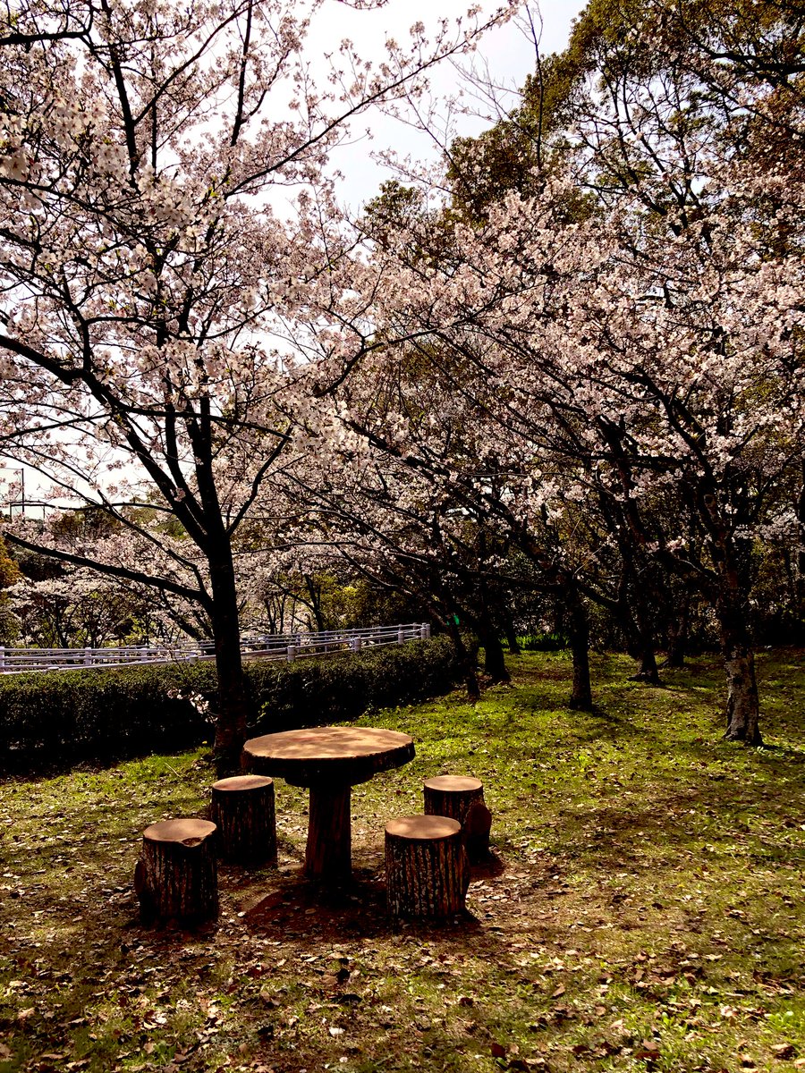 oride's tweet photo. タイトル「コロナ禍の花見」 https://t.co/oZSAAFGSwK