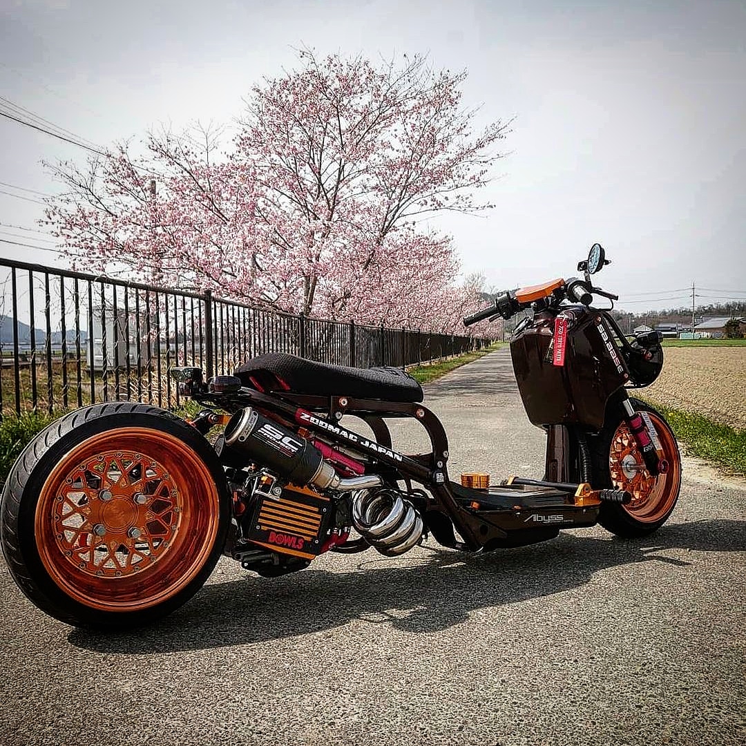 acticarejp's tweet photo. https://t.co/8vbFkFml64
当社製品のご愛用誠にありがとうございます!
#acticare #acticarejp #acticareusa #acticarerh3 #acticoat #madeinjapan #coating #carwash #lifestyle #sabase #zoomacjapan #zoomer #ruckus #honda #アクティケア #アクティケアrh3 #コーティング #洗車 #ホンダ #ズーマー https://t.co/GjEnnyyMAJ