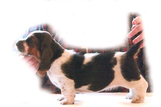 War Jesus Kegger Potato tweet media