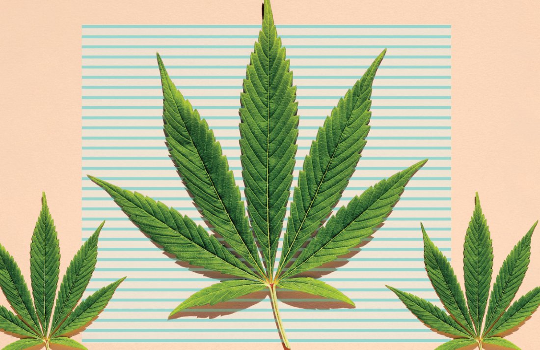 CannabisCulture's tweet photo. Cannabis Finds A Place In Grandmother’s Cupboard #Health #aging #seniors #study #research #doctor #Canada https://t.co/HFBDdmOHmA https://t.co/tgkEu2ySgx