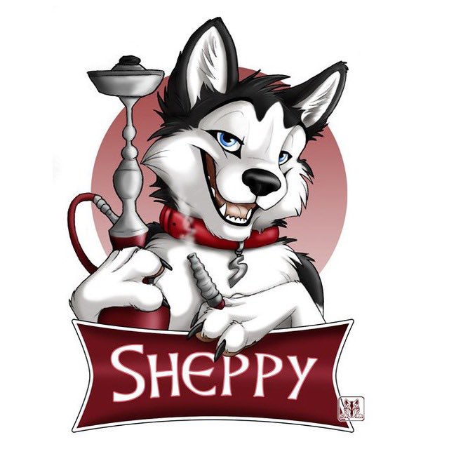 Sheppy tweet media