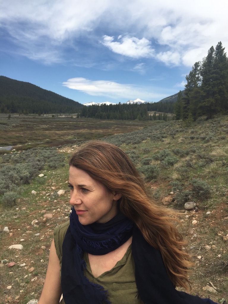 Poetry Daily tweet media