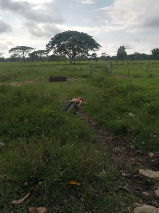 ONU - Tirania de Nicolas Maduro - Página 37 ExnFvr1XEAk19Kw?format=jpg&name=small