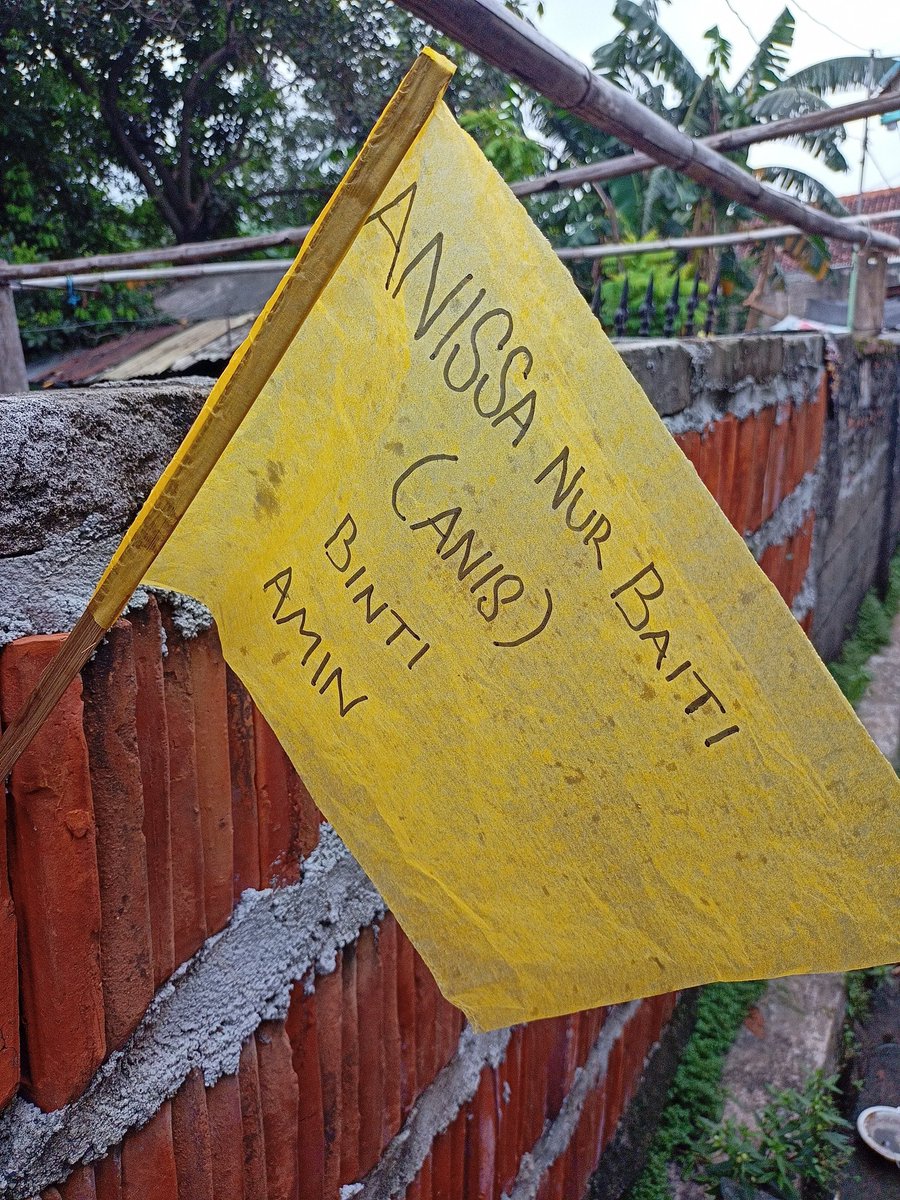 nisss🍒 DREAM COMEBACK 😭😭😭😭😭 tweet media