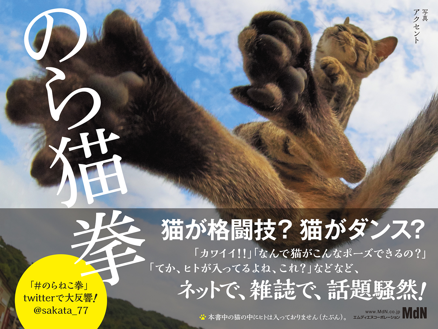 本物じゃん 奇跡の1枚でモンスターハンターのお供キャラが召喚された 21年4月2日 Biglobeニュース