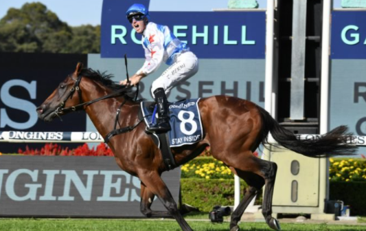 TRBHorseRacing's tweet photo. STAY INSIDE - A 105.7 🏇WFA Performance Rating⏱️⚖️📊 winning the G1 Golden Slipper.

A brutal lead speed by Profiteer set up a very fast overall time. Stay Inside's ability to absorb that pressure and then put the race away by the 150m mark was a serious top class performance! https://t.co/DFH5iN241z