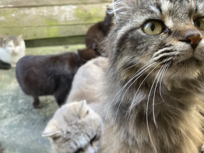 玄関のtwitterイラスト検索結果