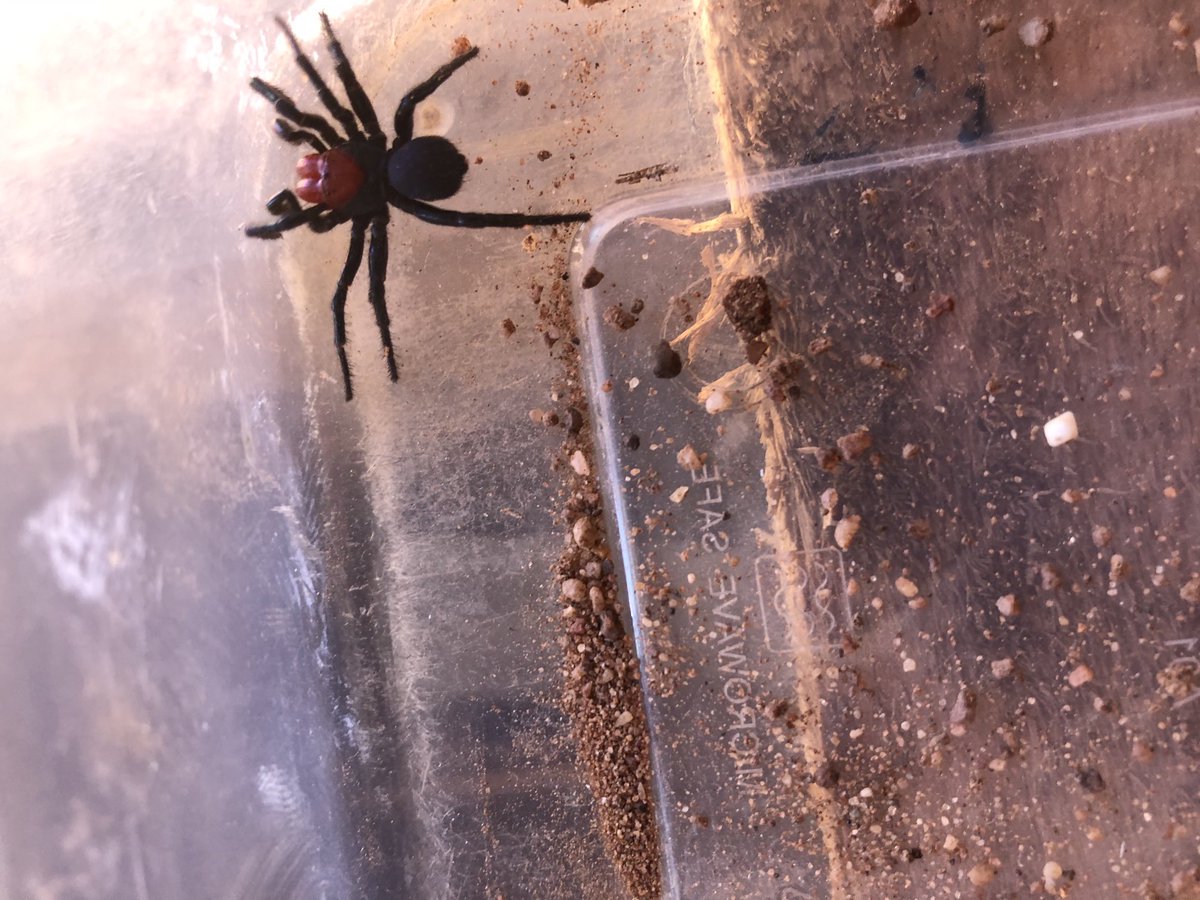 James Madden tweet media