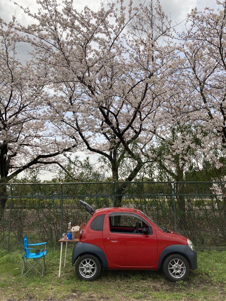 uboat717's tweet photo. スズキツインでお花見
リヤテーブルでコーヒータイム
#スズキツイン
#桜 https://t.co/dO9v9lmnzf
