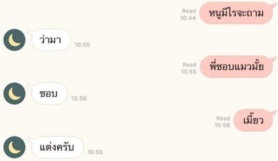 ลักคะน้า🌵 tweet media