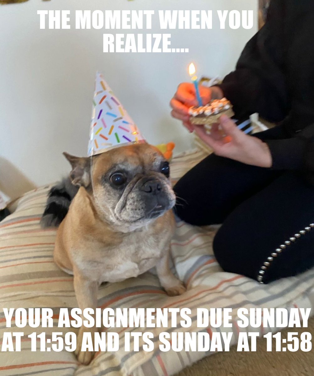 kayleekay5196's tweet photo. Procrastination at its finest!!! Better start using my planner as intended. #collegeprocrastinator  #MCO335 https://t.co/D3ODd46auc