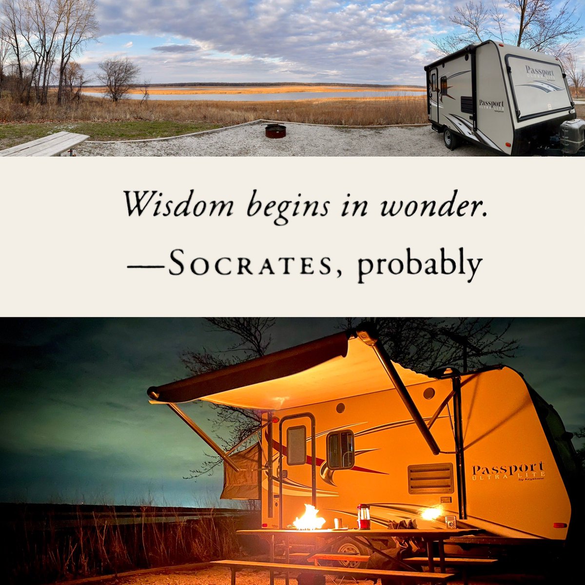 Matthew Mitchell PhD tweet media