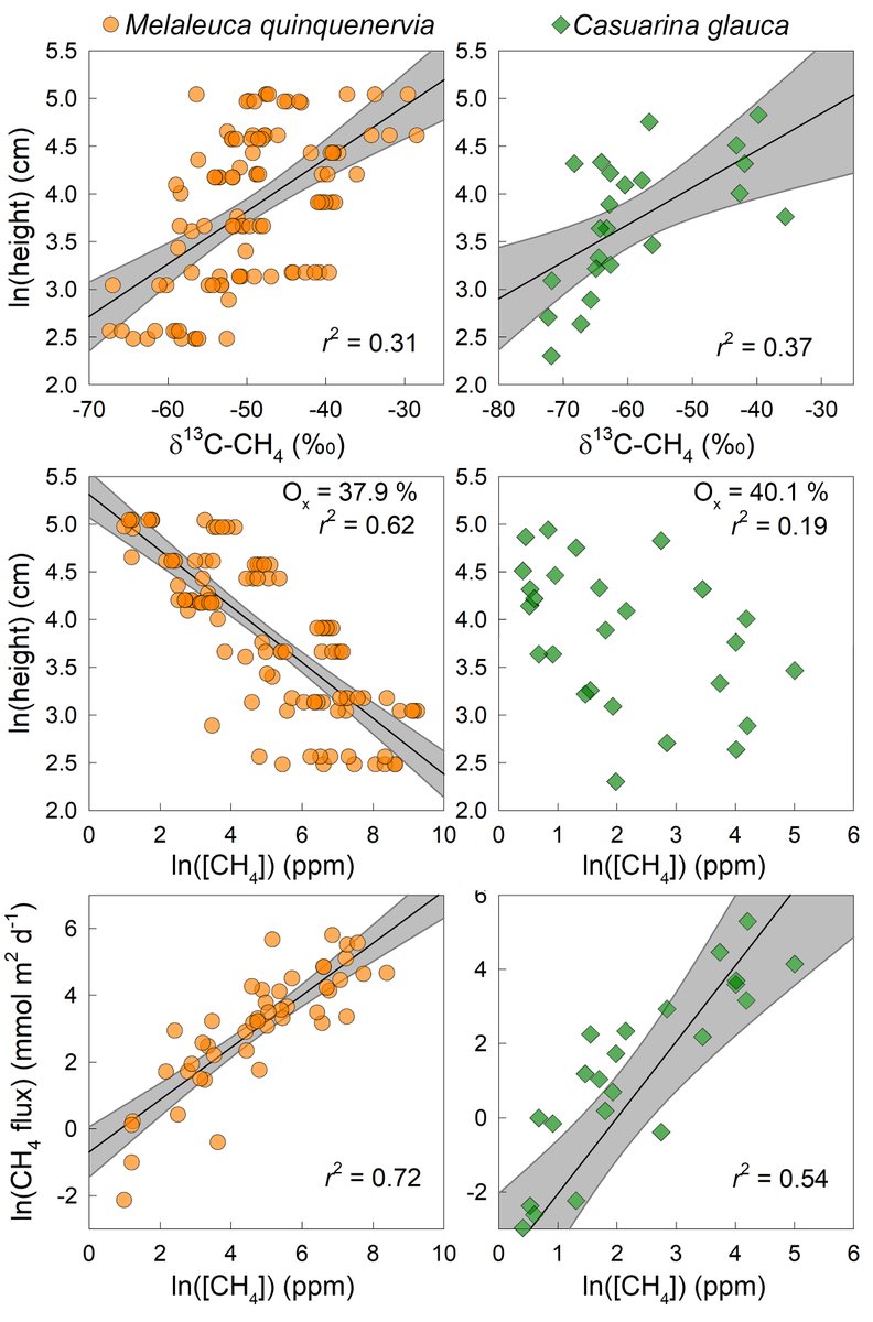 Luke_Jeffrey's tweet image. 1/6) Pls check out our newly accepted @NewPhyt paper revealing #Isotopic evidence for axial tree stem #Methane #Oxidation within subtropical lowland forests 🌱&amp;gt; tinyurl.com/57k3zaa9