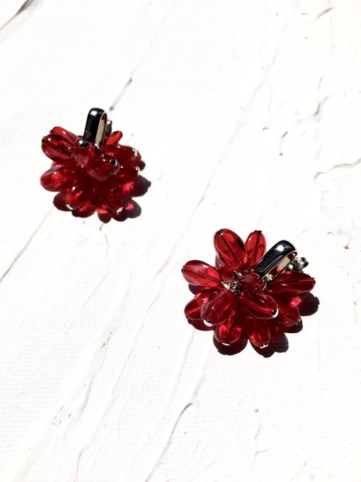 ザクロのtwitterイラスト検索結果