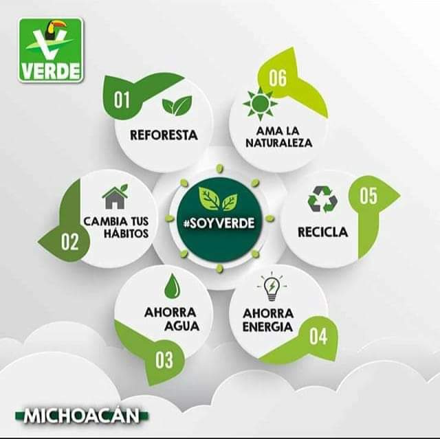 PAYITZINTLI's tweet photo. Pequeñas acciones que generan grandes cambios.
#YoSoyVerde https://t.co/xjndlRyNaS