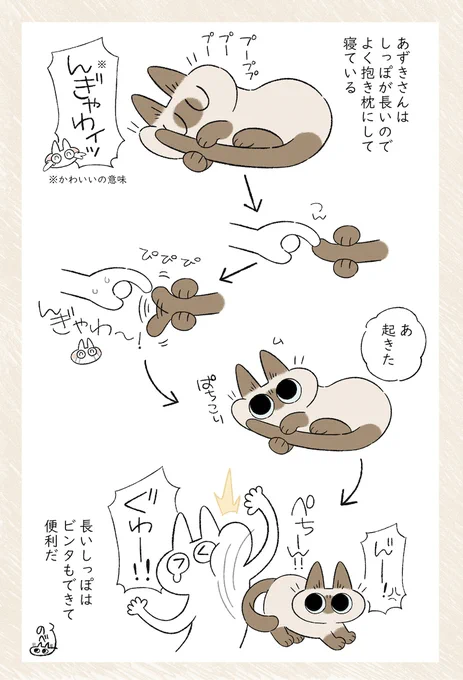 しっぽビンタけっこう質量がある(痛くはない) #シャム猫あずきさんは世界の中心 