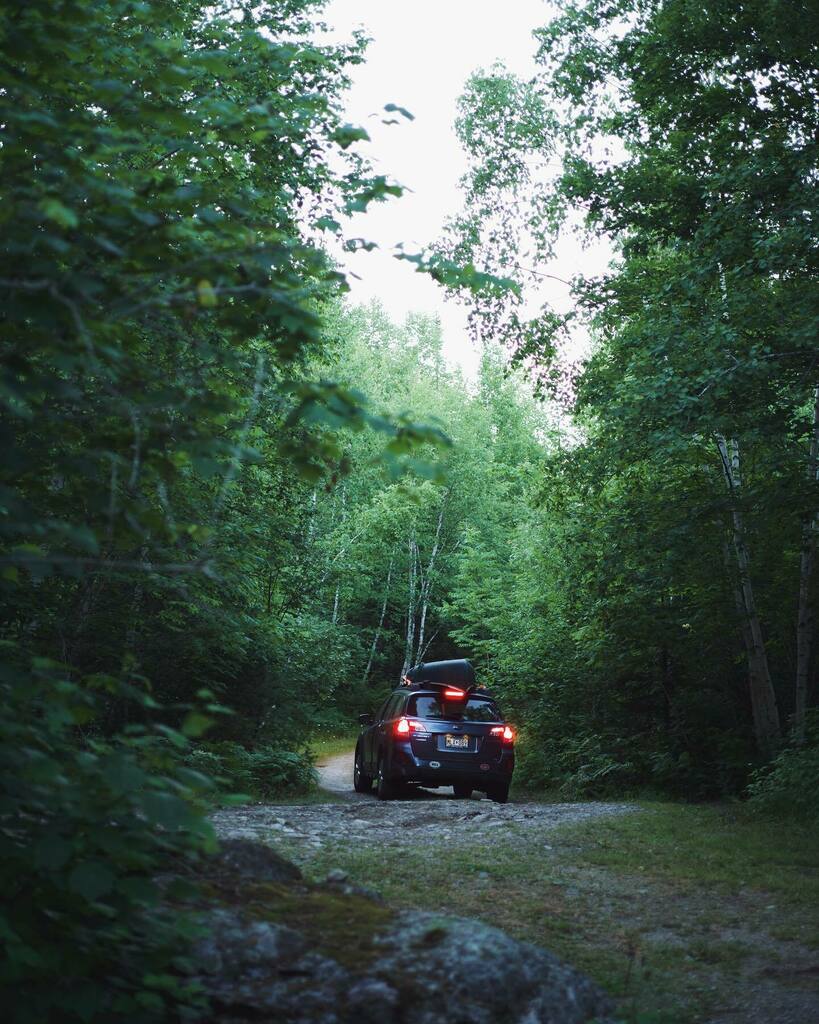 AMessengerPhoto's tweet photo. Nearly canoe season. Anyone else love the narrow, winding roads that lead to the launch? https://t.co/QdJvXhbslw https://t.co/r9CF6Z4yRW
