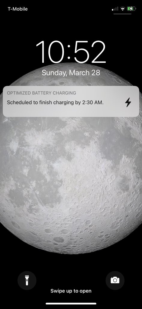 Depressed Ginger tweet media