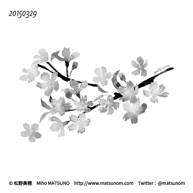 松野美穂 Twitterissa 桜 サクラ いっぴん七十二候 Flowerillustration Monochrome Illustration Watercolor 水彩イラスト モノクロ モノクロ絵 水彩 イラストサンプル Matsunomiho Matsunom 松野美穂 T Co Vtlioadly6 松野美穂 Twitterissa 桜 サクラ いっぴん七十二候 Flowerillustration Monochrome Illustration Watercolor 水彩イラスト モノクロ モノクロ絵 水彩 イラストサンプル Matsunomiho Matsunom 松野美穂 T Co Vtlioadly6