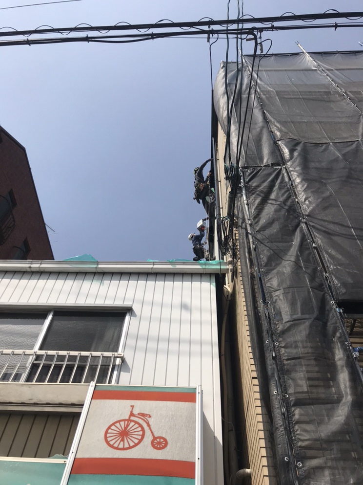de_tex_jp's tweet photo. 【今日の現場】
めちゃくちゃいい天気。近くの桜が綺麗でした！
今日は京都市某所のアパート。お隣との隙間がなく、足場が立てられない壁面の施工でした。まさにロープアクセス技術の本領発揮です！ https://t.co/UWY5OLMWGI