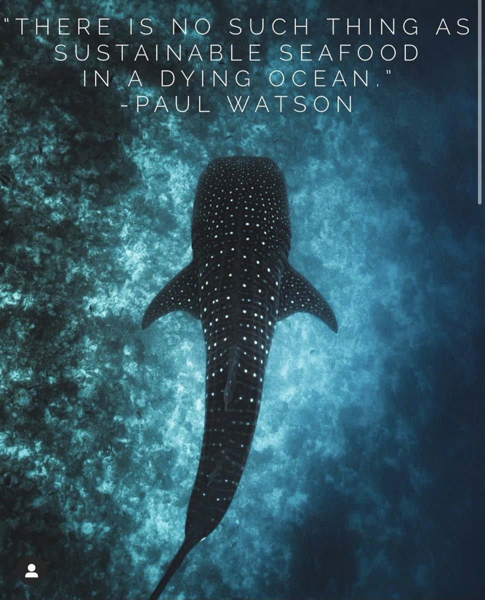 letusbeheroes's tweet photo. @seaspiracy @CaptPaulWatson #Seaspiracy https://t.co/xyEXniiA4p
