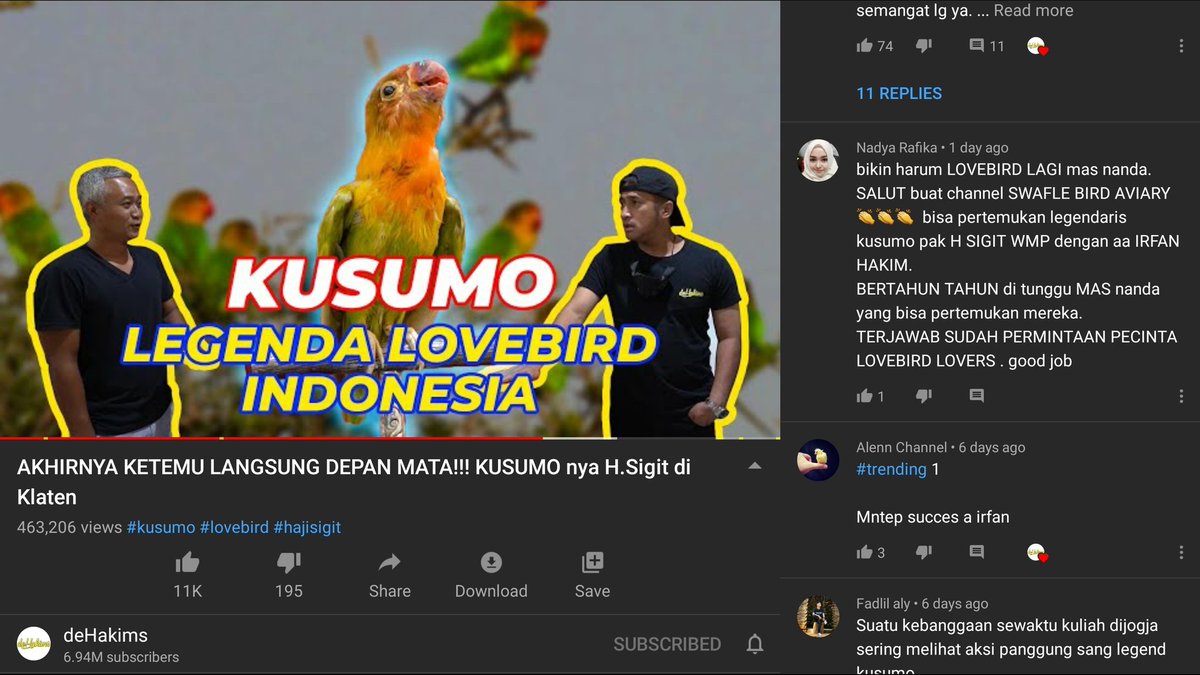 sigitwmp's tweet photo. https://t.co/84kLWPpkaz 
#hobby #klaten #binatang https://t.co/0qVXh8pDCN