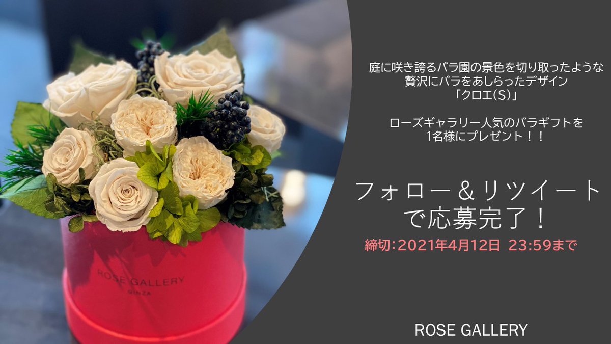 Rose Gallery Rosegallery1975 Twitter Rose Gallery Rosegallery1975 Twitter