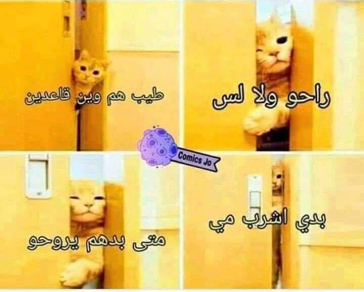 _ln_1994's tweet image. لما يجو عندكم ضيوف وانت قاعد بالغرفة🤣