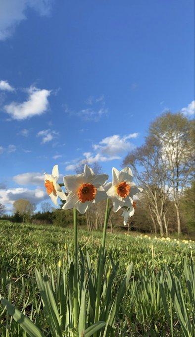 Some pretty sights from this day ☺️ https://t.co/6FA4JM8QJN<a href="/tag/newprofilepic"class="tags"><span>#newprofilepic</span></a>