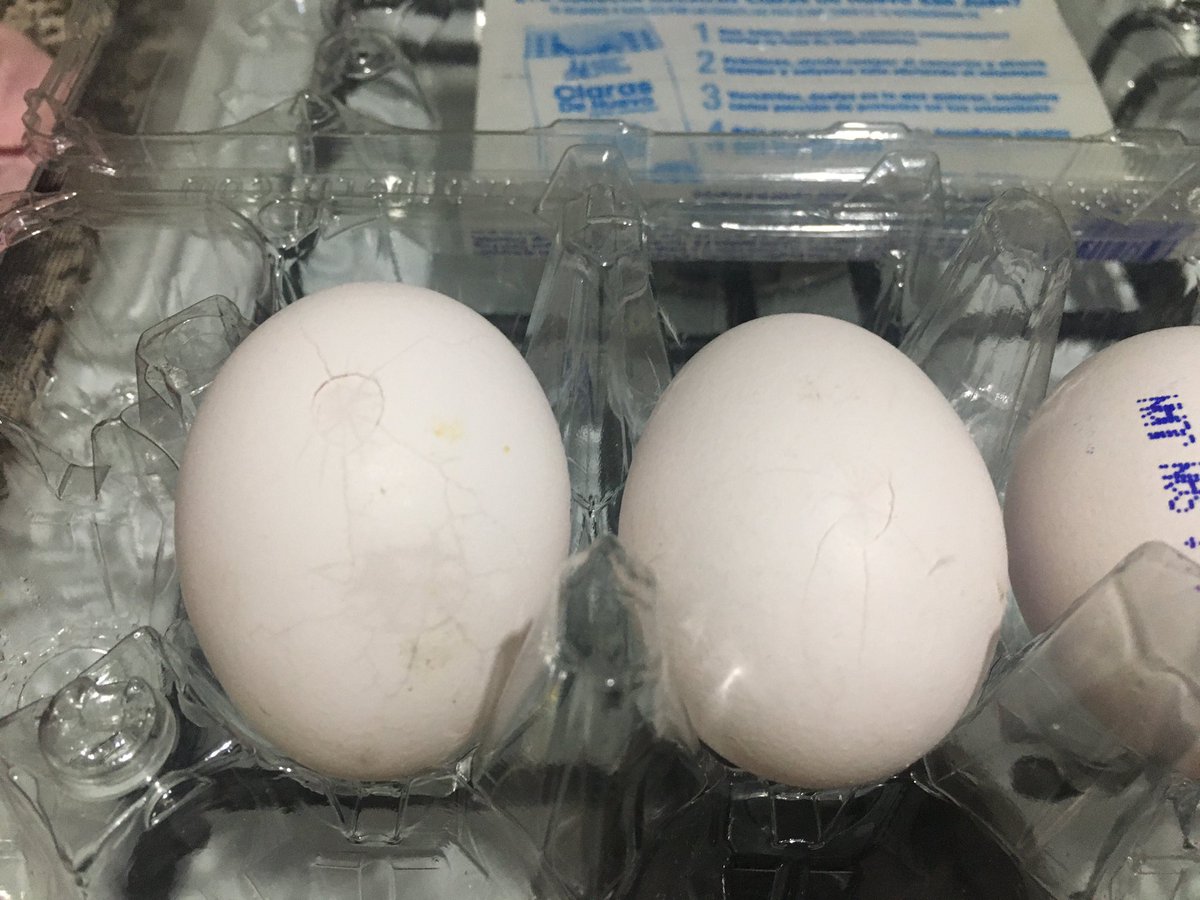 BonyMay's tweet photo. @justo_mx muy bonito el súper y todo pero 6 de los 18 huevos que compré venían rotos 🤦🏻‍♀️🤦🏻‍♀️🤦🏻‍♀️ #Fail #NoLoHagaCompa https://t.co/DKHd7ZoRiT