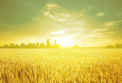 ISMECjf's tweet photo. A harvest of souls

There is coming a #harvest of #souls like we have never seen before since time began.

That is a big statement, but Amos 3:7 says, “Indeed, the Sovereign #Lord never does anything
read more: https://t.co/kZcJn9ZSj6 https://t.co/ctLLNk8HTh