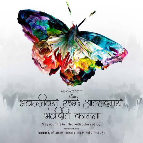 Happy Holi Everyone