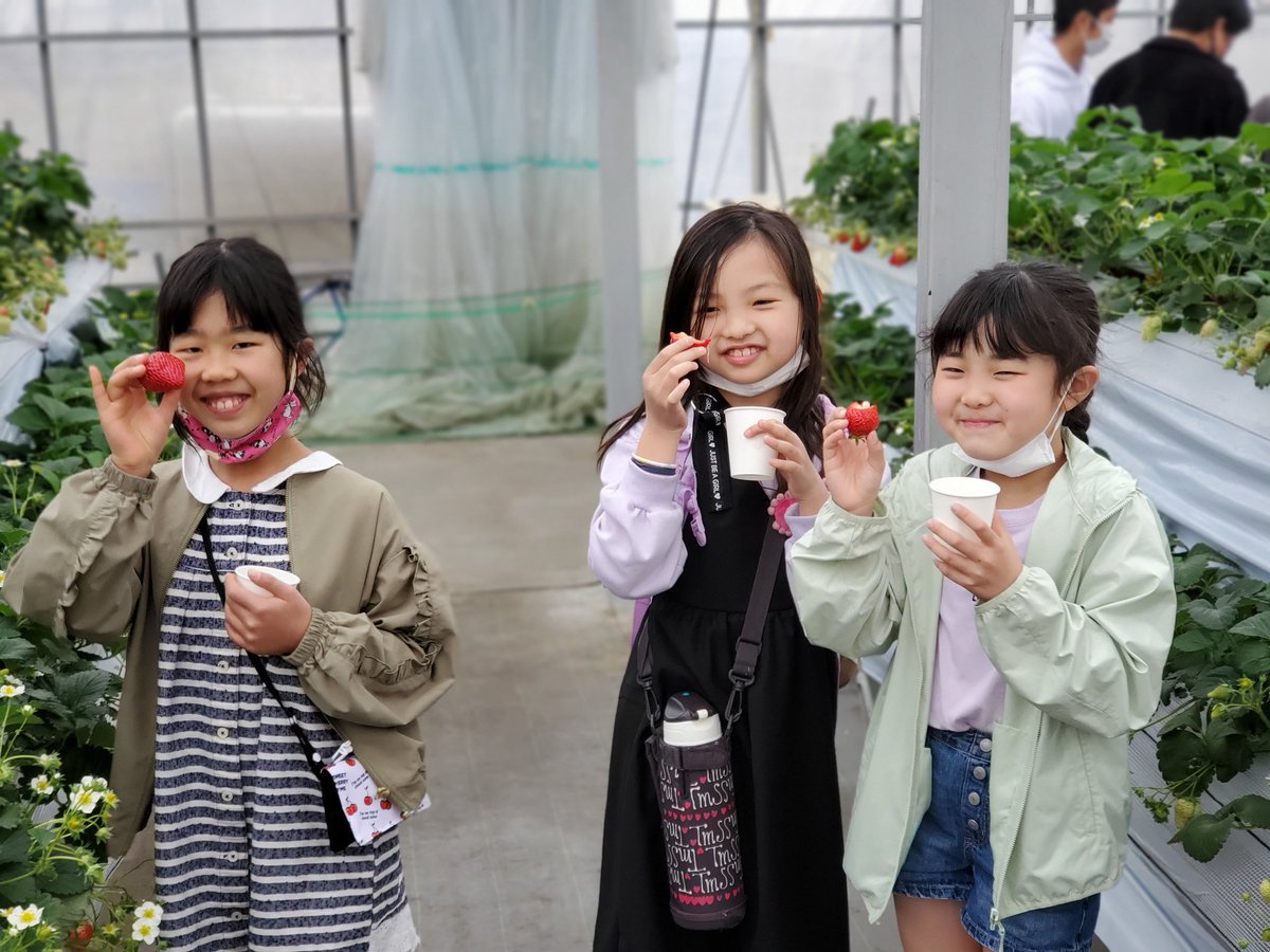 草加市子ども会育成者連絡協議会 草子連 昨日は市内の子ども会に所属する子ども達とイチゴ狩りを楽しみました コロナでなかなか事業ができない一年でしたが今年度の最後に子ども達の笑顔がたくさん見られました いちご狩り 沼田農園 草加市いちご 草加市子ども会育成者連絡協議会 草子連 昨日は市内の子ども会に所属する子ども達とイチゴ狩りを楽しみました コロナでなかなか事業ができない一年でしたが今年度の最後に子ども達の笑顔がたくさん見られました いちご狩り 沼田農園 草加市いちご