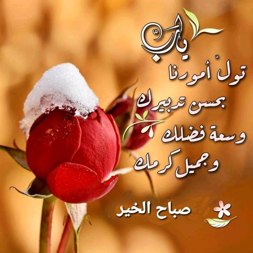 الجوكر 🧛🏻‍♂️❤ (@h__650z) on Twitter photo 
