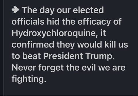 Elle1906's tweet photo. Never forget Whitmer made it illegal to get a life saving treatment against the virus! She has blood on her hands! https://t.co/foUWfQDITp
