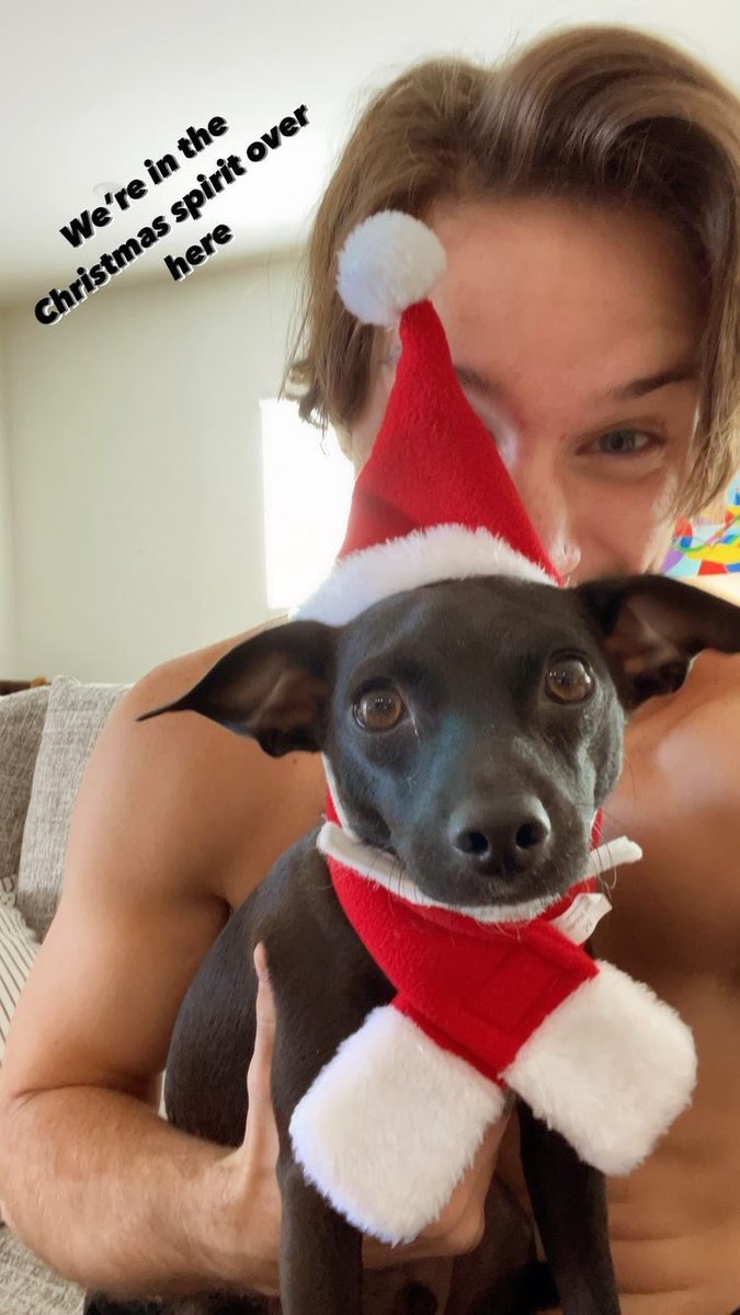 kobeseavey's tweet photo. happy birthday to my father, Christian! Where do i even start? first of all you're getting so old man, congrats! Second, thank you for being a great pet owner/ taking care of me. even tho I can be annoying sometimes like barking at a pole https://t.co/wxIb8G2sBY