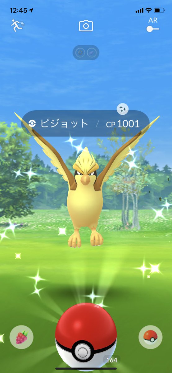 ポケモンgo ポッポの色違い 入手方法と実装状況 攻略大百科