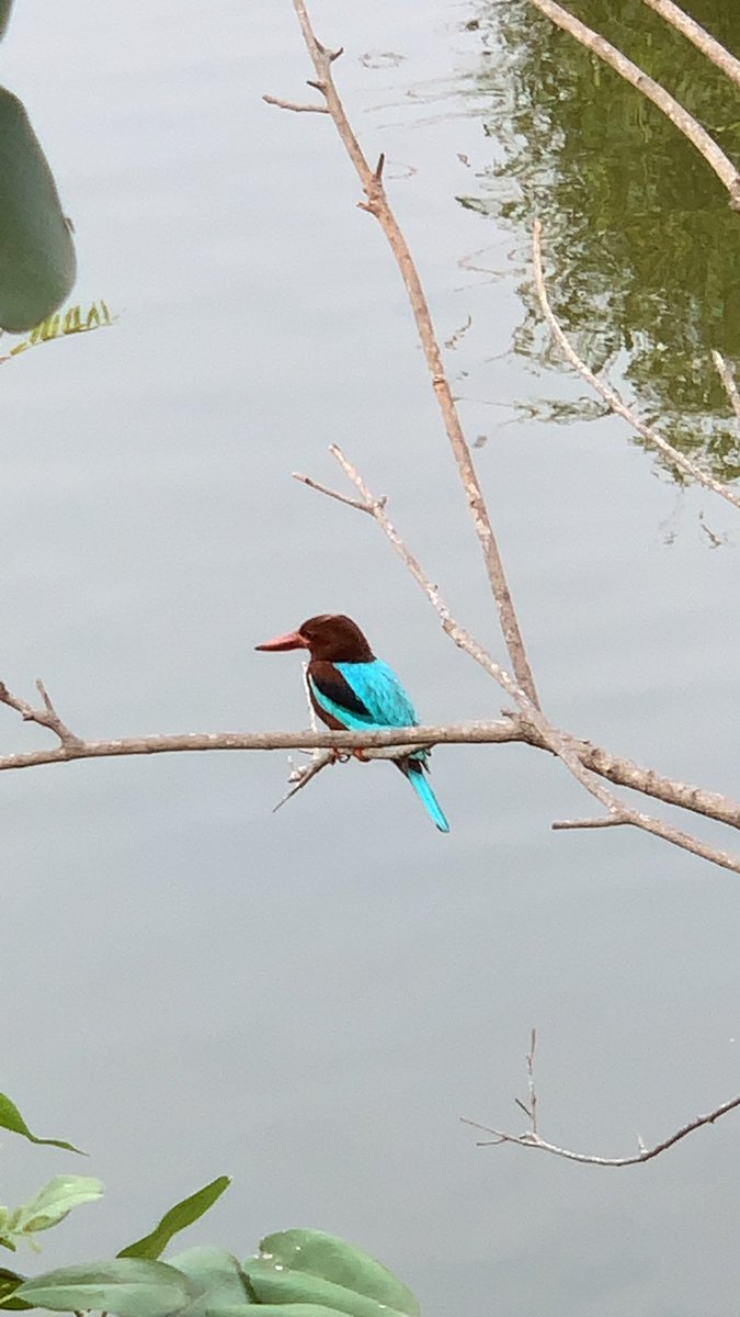 Fabiola🌻 tweet media