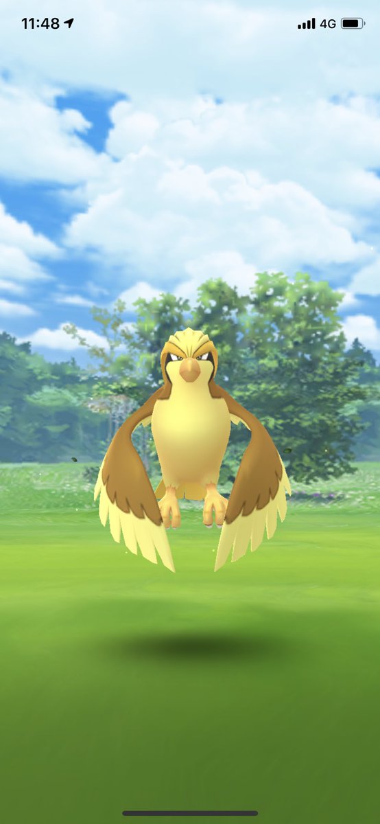 ポケモンgo ピジョットの色違い 入手方法と実装状況 攻略大百科 ポケモンgo ピジョットの色違い 入手方法と実装状況 攻略大百科