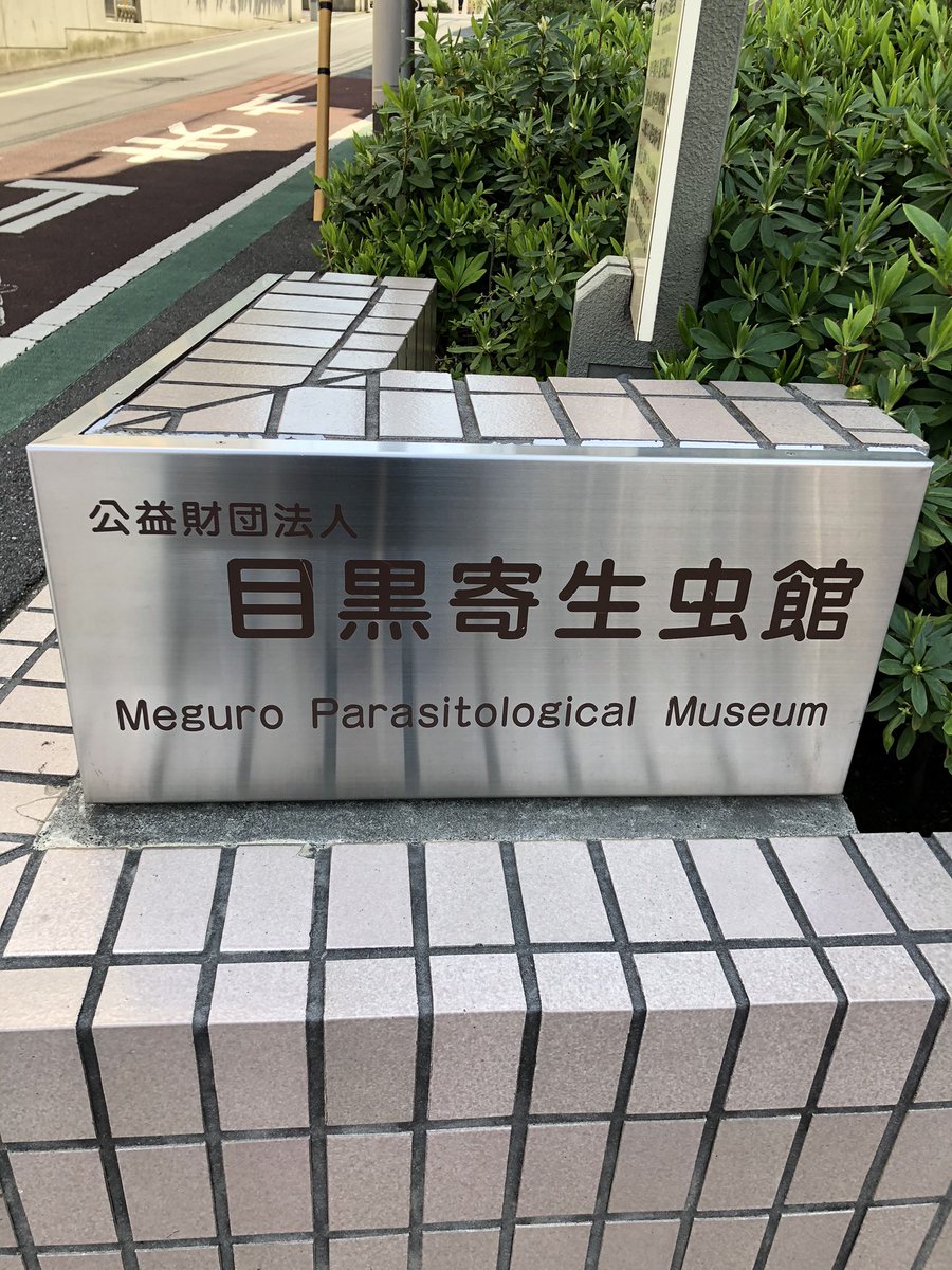 右田孝宣 サバ博士 On Twitter サバの豆知識 86 アニサキスの存在意義 全ての生き物の生存意義が 遺伝子を未来へ残す事 だいたいの寄生虫は宿主が死ぬと 自分も遺伝子を残す事ができなくなってしまうので 宿主と共存します 中には 宿主の健康に貢献する寄生