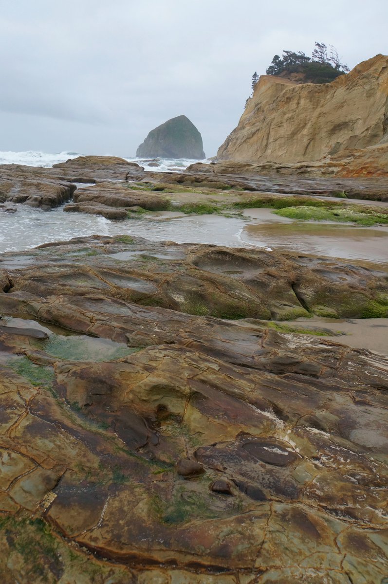 jeffevansmagic's tweet photo. I love it when I can combine sightseeing and work, but this past year it's obviously been sparse! So it was awesome performing for the #FestivalofIllusions in #LincolnCityOR last week, then taking the scenic Highway 101 along the coast back home. #paycation #oregonmagician https://t.co/vUPFmywlPw