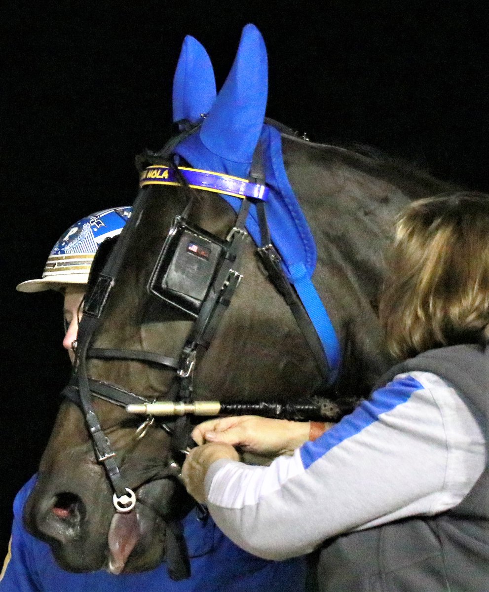 hoosiernations's tweet photo. Hoosier storyline update:
3/27 #RockinNola/@joeyputnam13 qualified 1:53, will she race this coming Saturday or take another qual

3/28 11yo #NightPro was second by a nose in 1:57.2 @NfldPark He's inching closer to $1 million https://t.co/VNncg7MkEK